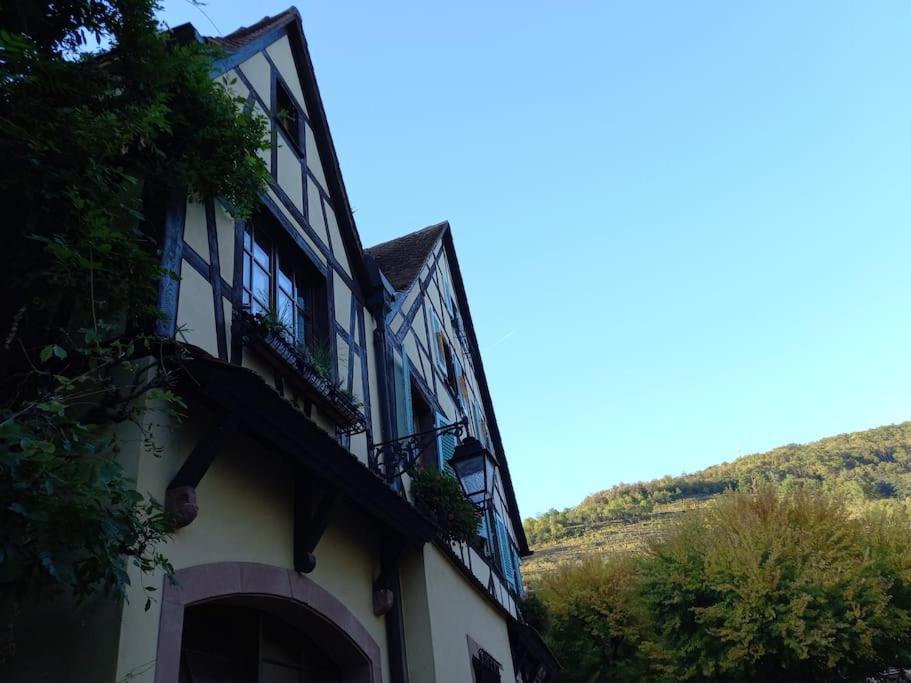S'Gleina Gleck, In The Heart Of A Wine City, Charmant Studio 1 Piece Et 1 Salle De Bain Kaysersberg-Vignoble Esterno foto