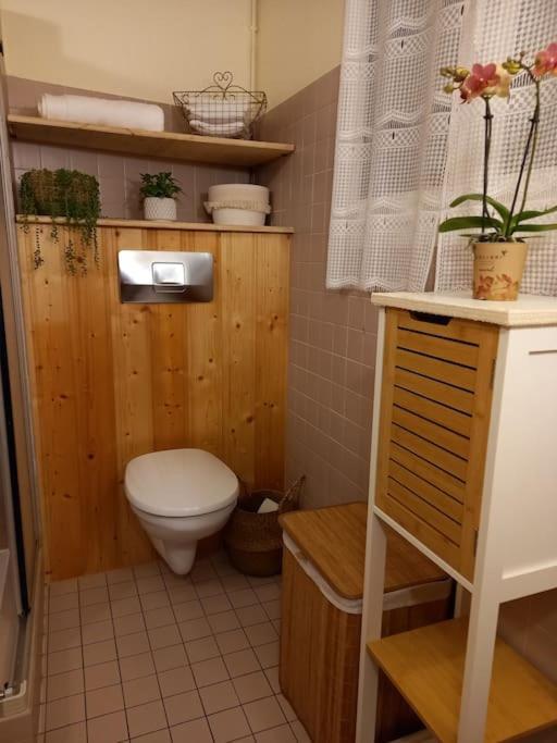 S'Gleina Gleck, In The Heart Of A Wine City, Charmant Studio 1 Piece Et 1 Salle De Bain Kaysersberg-Vignoble Esterno foto