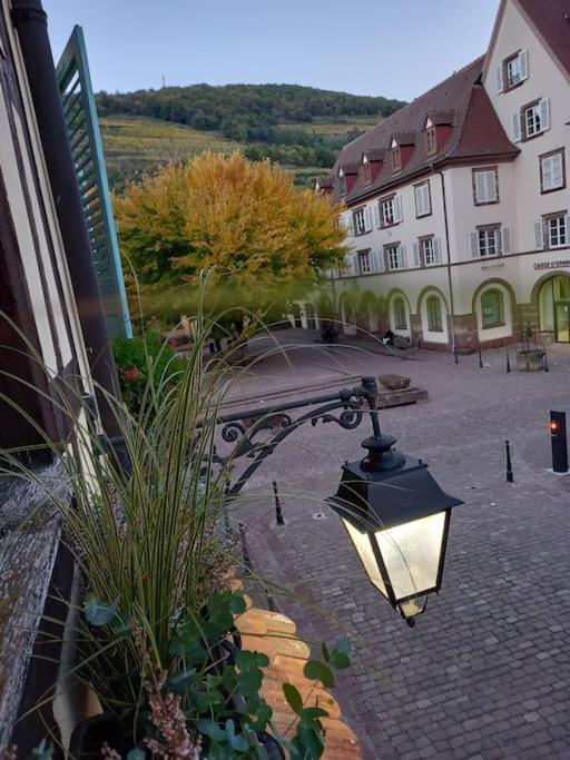S'Gleina Gleck, In The Heart Of A Wine City, Charmant Studio 1 Piece Et 1 Salle De Bain Kaysersberg-Vignoble Esterno foto