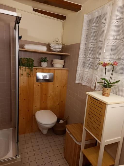 S'Gleina Gleck, In The Heart Of A Wine City, Charmant Studio 1 Piece Et 1 Salle De Bain Kaysersberg-Vignoble Esterno foto