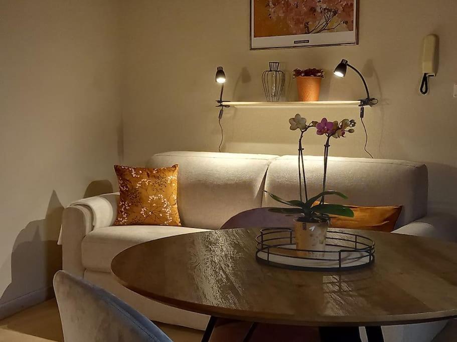 S'Gleina Gleck, In The Heart Of A Wine City, Charmant Studio 1 Piece Et 1 Salle De Bain Kaysersberg-Vignoble Esterno foto